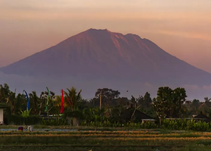Gajah By Betterplace * Canggu (Bali)